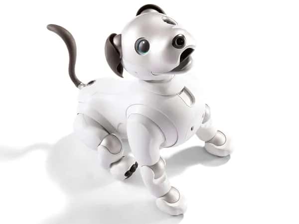 Вид сверху на робота-собаку aibo от Sony.