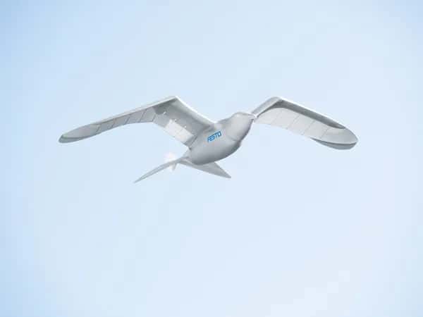 SmartBird — белый робот-чайка FESTO летит на фоне голубого неба.