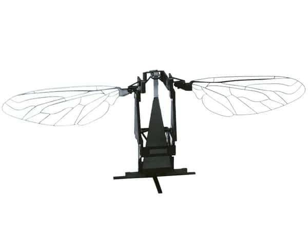 RoboBee — крошечный робот, имитирующий пчелу: чёрное брюшко и два перепончатых крыла.