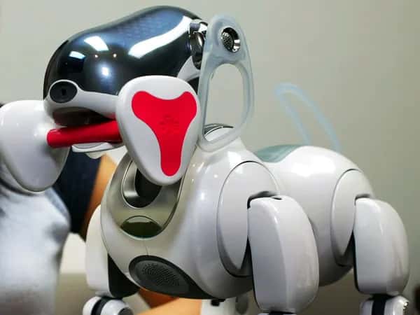 Aibo (1999) — белая робособака с розово-белой игрушечной костью.