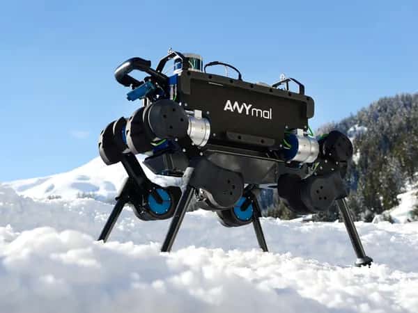 ANYmal (2016) — робот стоит на заснеженной поверхности.