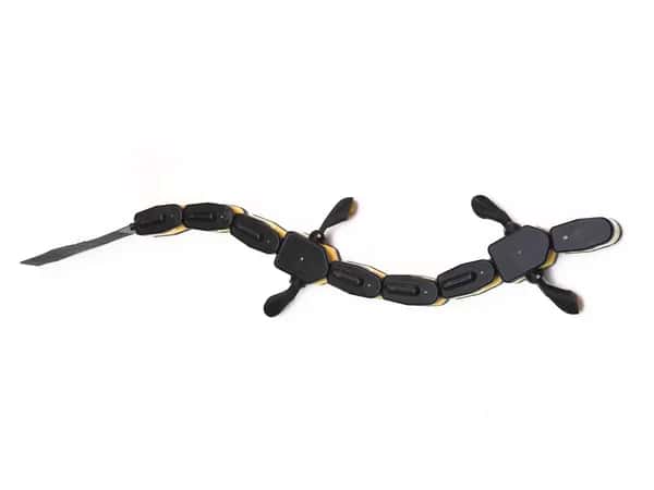 Salamandra robotica II — чёрный робот в форме саламандры с четырьмя ластообразными лапами, сегментированным телом и хвостом.