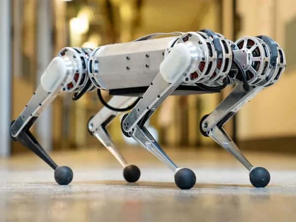 Mini Cheetah — серебристый четырёхногий робот с шарообразными ступнями и сочленёнными ногами.