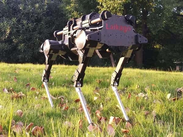 Чёрный четвероногий робот с прямоугольным корпусом с надписью Laikago стоит в траве.
