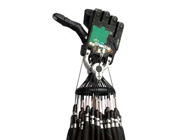 Shadow Hand — роборука показана вертикально с длинными сухожилиями и с согнутыми пальцами, а большой палец выдвинут.