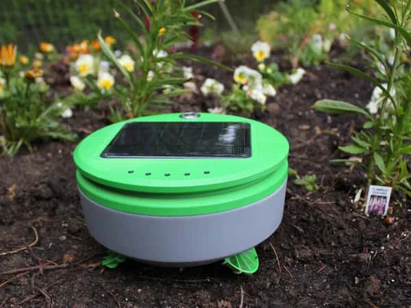 Tertill — небольшой зелёный робот с солнечной панелью на крыше среди цветочного сада.