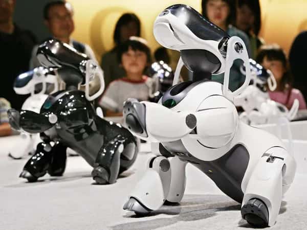 Aibo (1999) — две роботизированные собаки одновременно поднимают лапу.