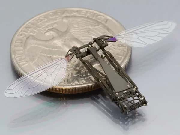 RoboBee — робот-пчела сидит на краю монеты в 25 центов.