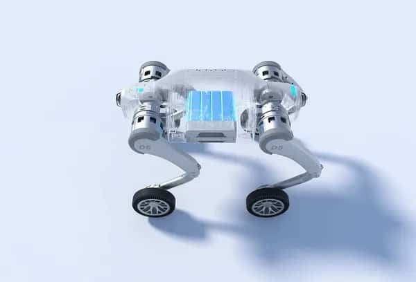 PUDU D5