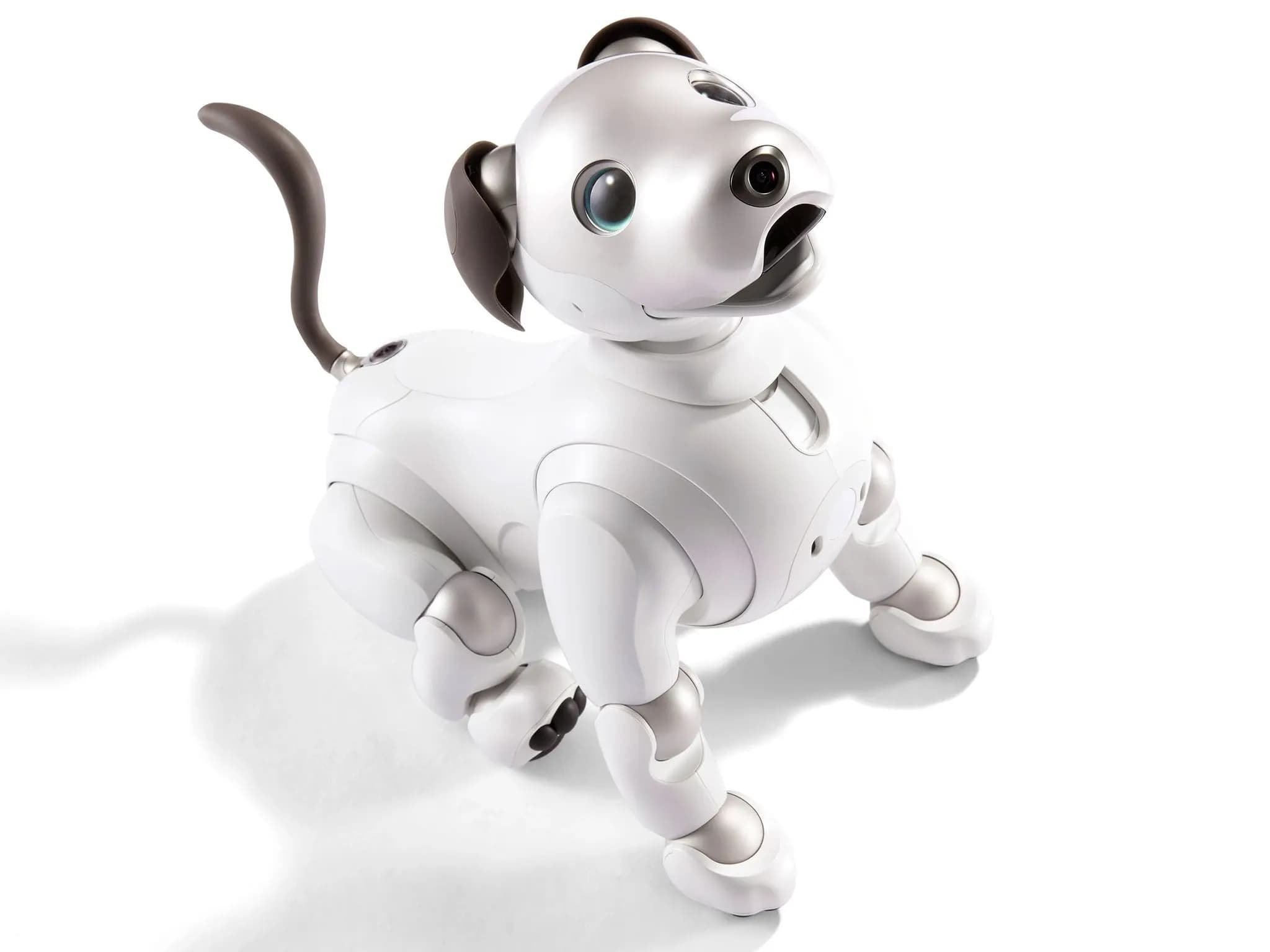 Вид сверху на робота-собаку aibo от Sony.