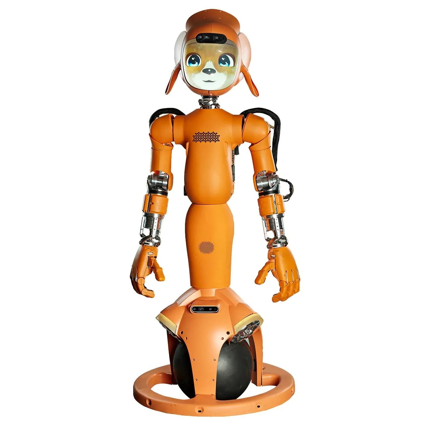 Mirokaï