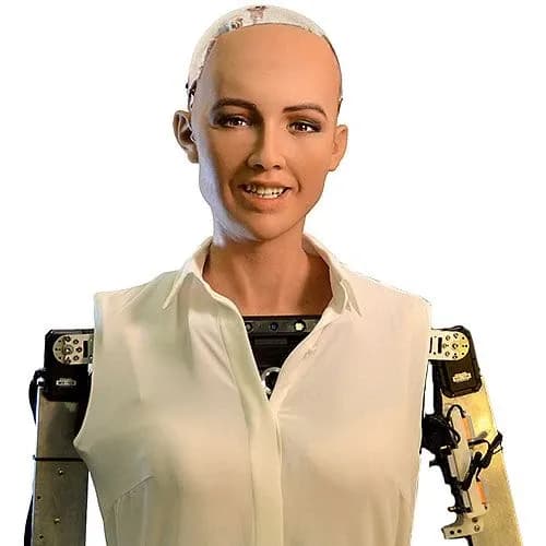 Sophia