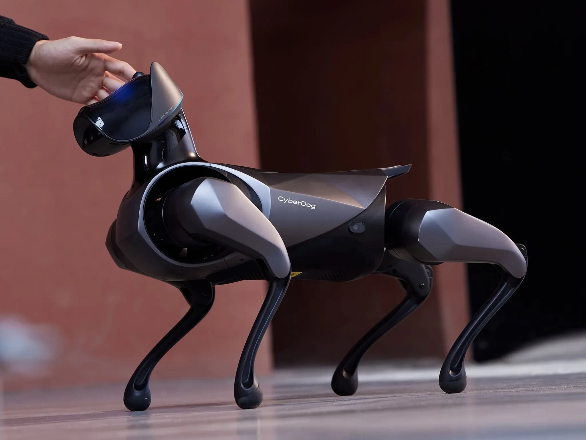 Рука тянется, чтобы поставить четырёхногого робота CyberDog 2.