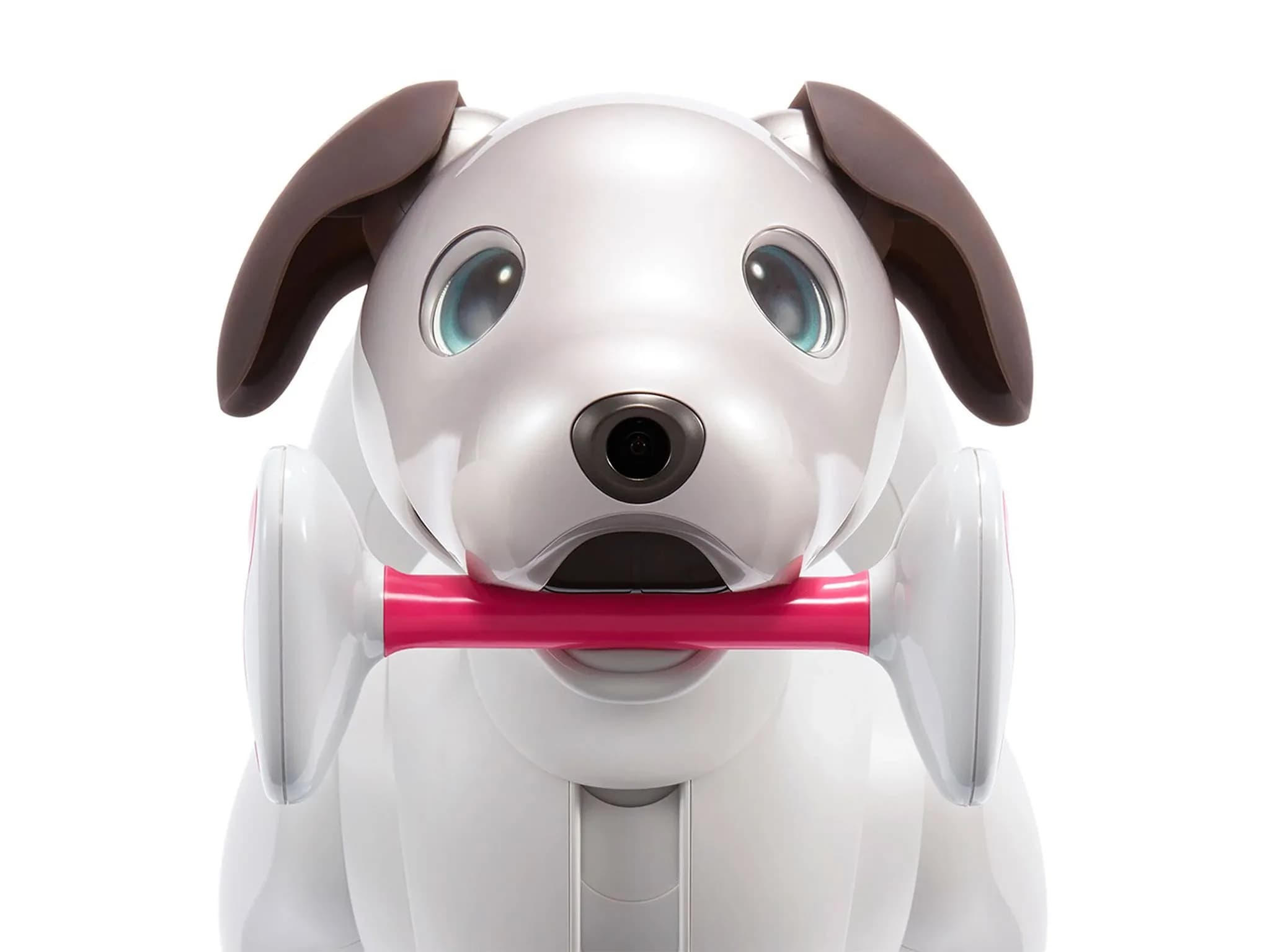 Aibo — белый робот-собака с голубыми глазами и коричневыми ушами, держащий во рту розово-белую игрушечную кость.