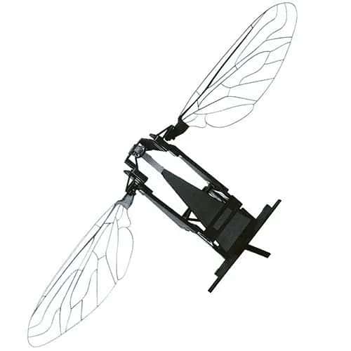 RoboBee — крошечный робот, имитирующий пчелу: чёрное брюшко и два перепончатых крыла.