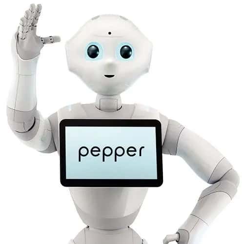 Pepper