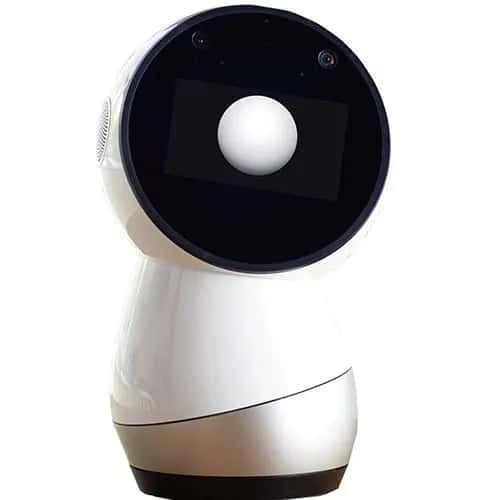 Jibo