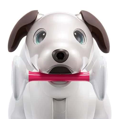 Aibo