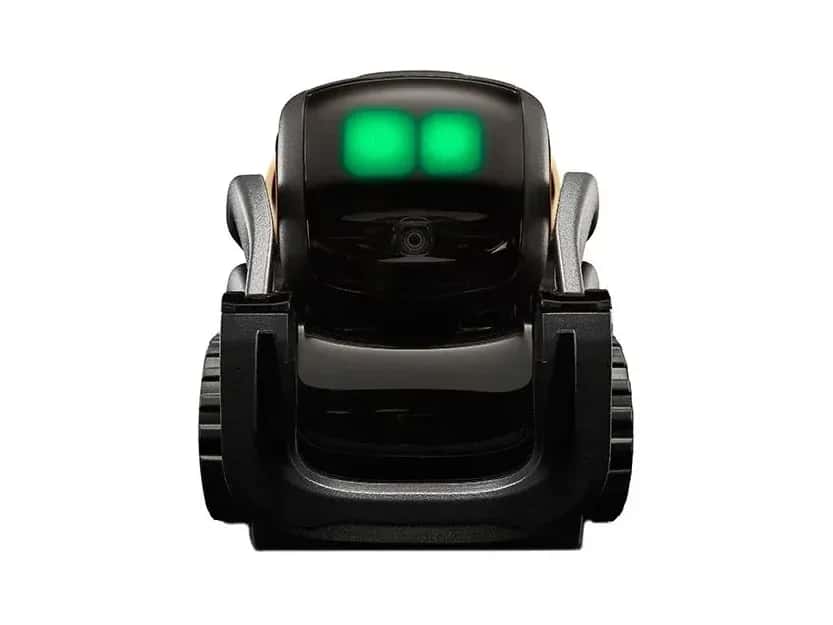 Vector 2.0